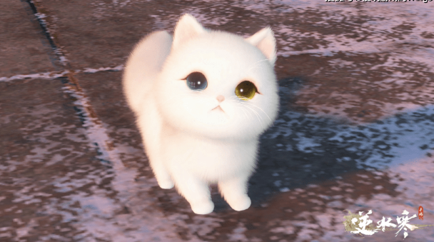 逆水寒手游七夕做了一个决定让玩家彻底改观，网友：真该你火