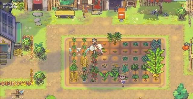 image.png 秒变种田游戏!《风来之国》新DLC复活吧海鸥镇介绍