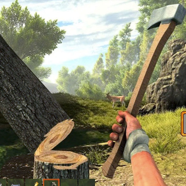 我的海岛我说了算！