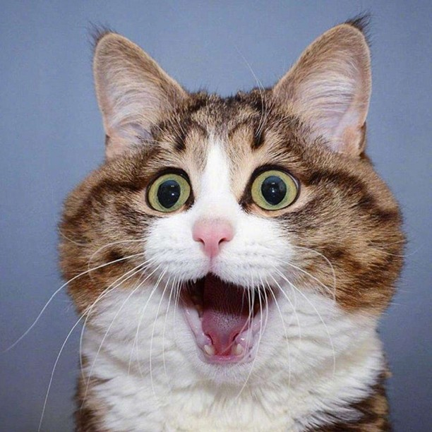 火山哥哥，自制游戏。