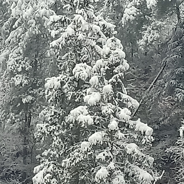 我日常最喜欢玩的