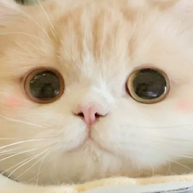 少女心的装饰小家