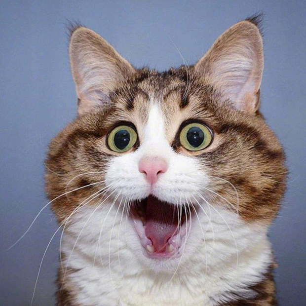 各大主播推荐游戏合集