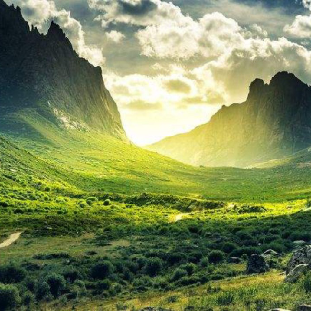 多样性游戏单！