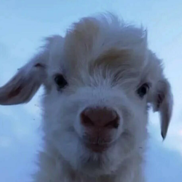 我推荐的游戏款