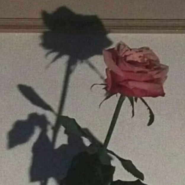 非常喜欢这些游戏