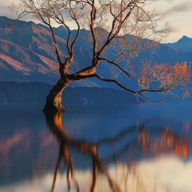 都很好玩！！！