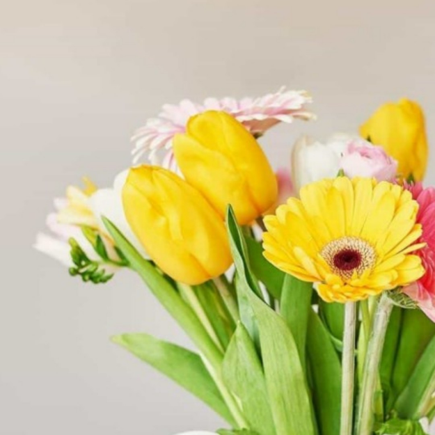 老夫的少女心（颜控速来！）