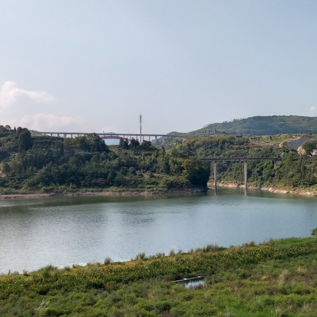 (无广告)全部类型游戏1