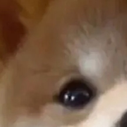 好玩的，真的十分好玩