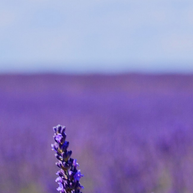很好的朋友圈里面