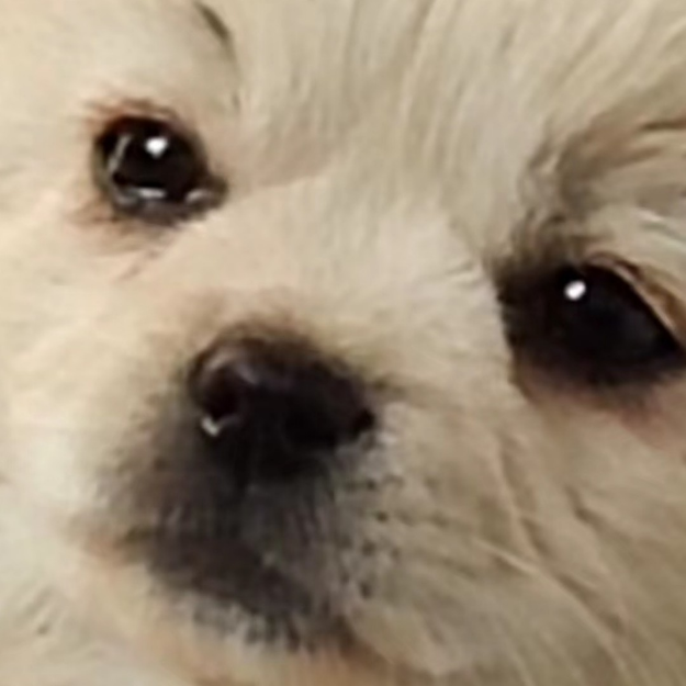 非常有意思，推荐游玩