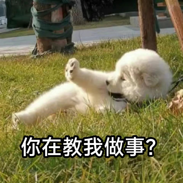 女孩子休闲游戏