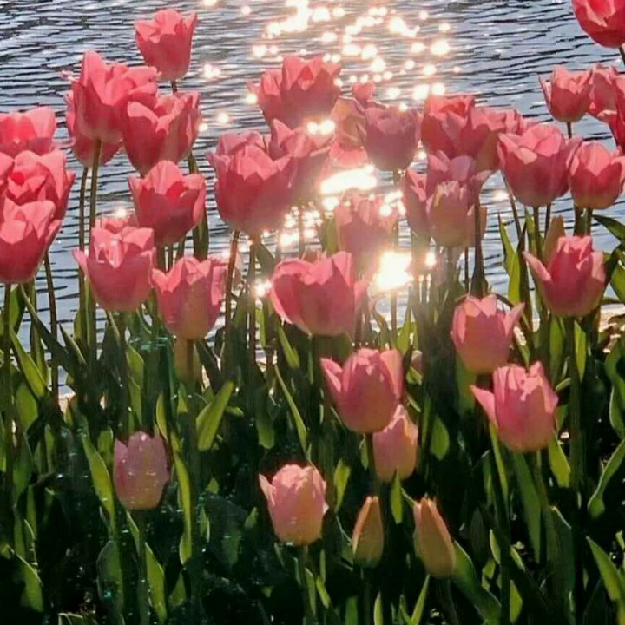 美食~经营~女生会喜欢？