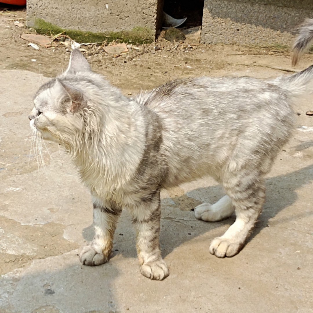 我玩过最好玩的游戏 