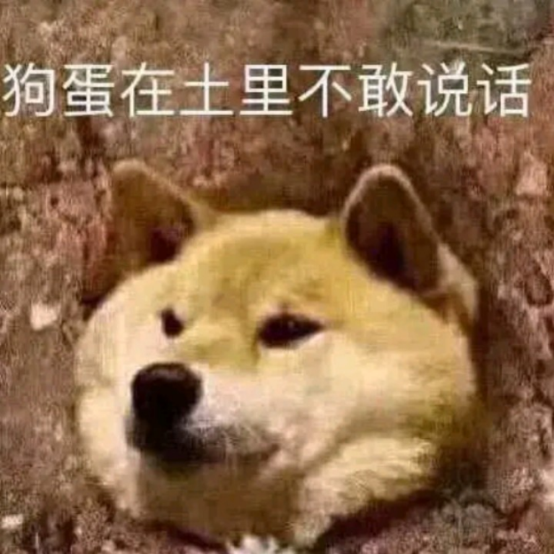 我比较爱玩的游戏