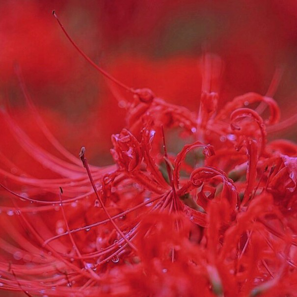 斗罗大陆游戏下载