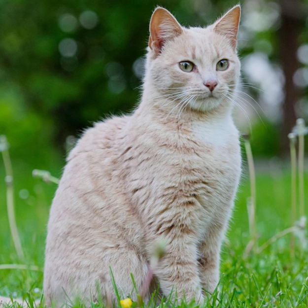 我现在玩的游戏