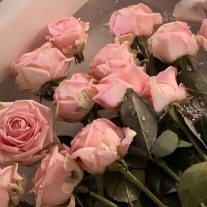 我认为最好玩的游戏