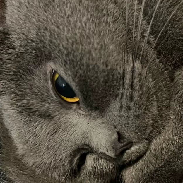 收纳类型游戏可以试试