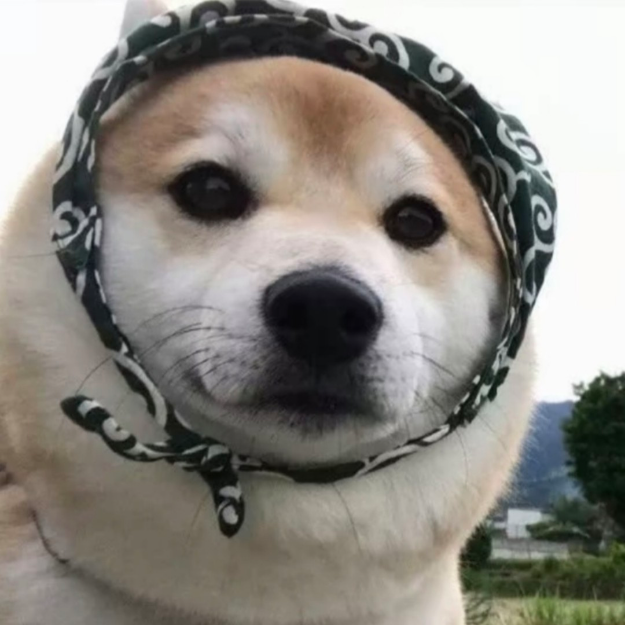 最全收纳小游戏