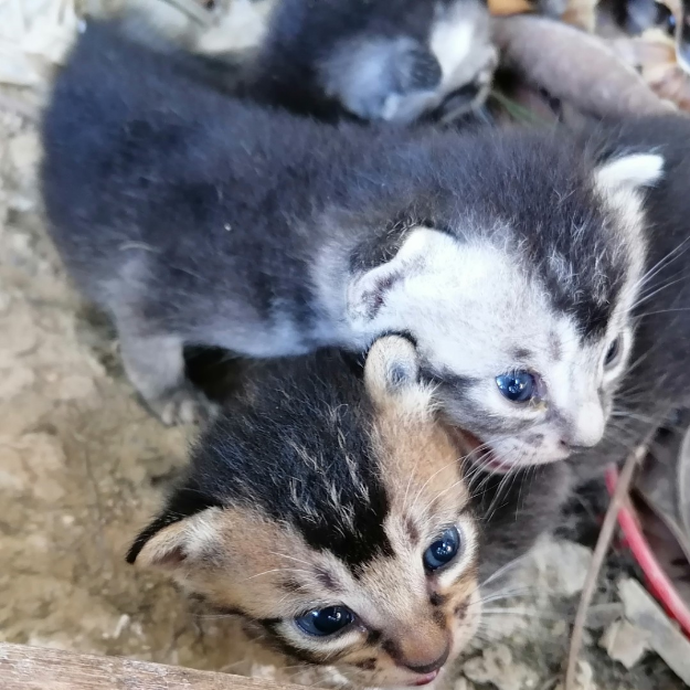 收纳大全（个人觉得好玩）