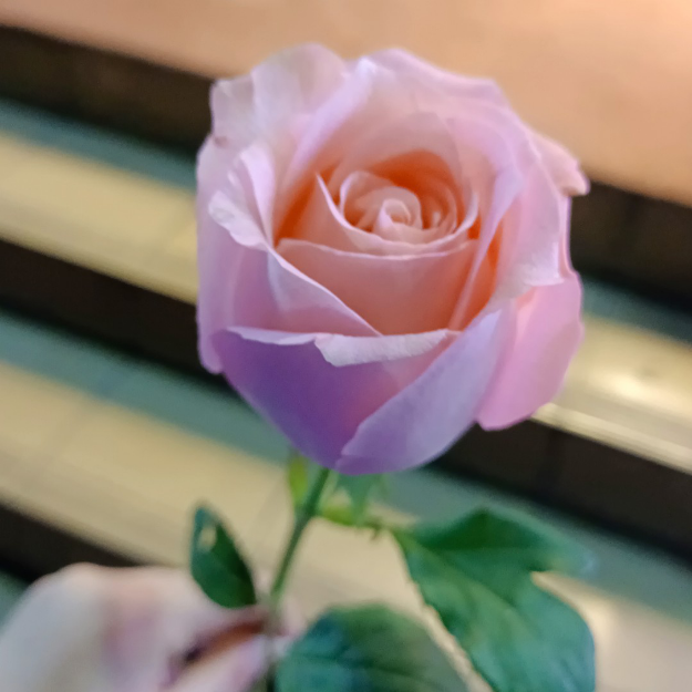 无广告的游戏。