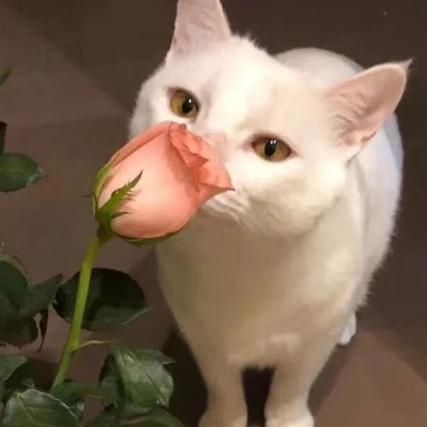 消除游戏大全。