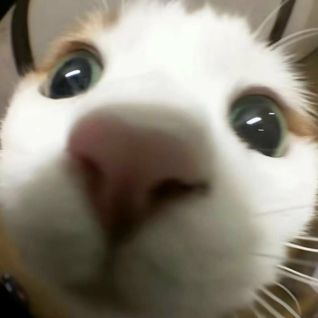 收纳游戏！！！