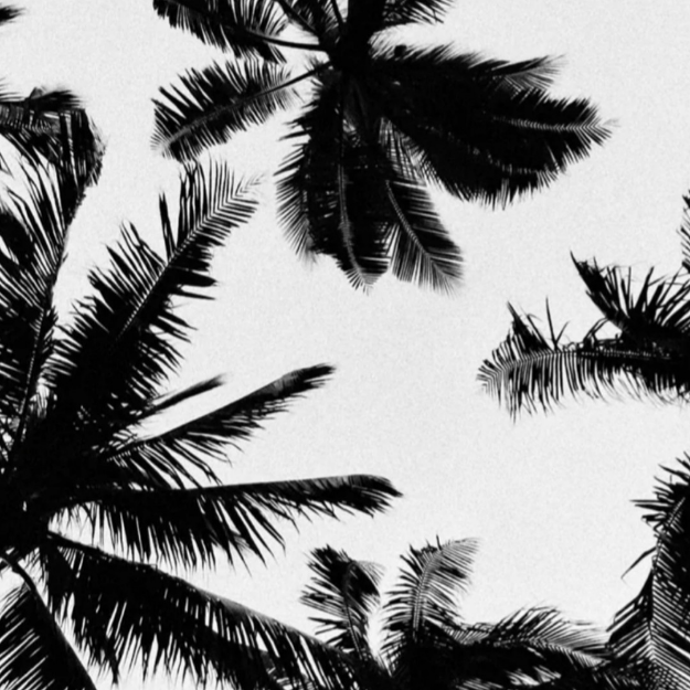 最全的收纳游戏