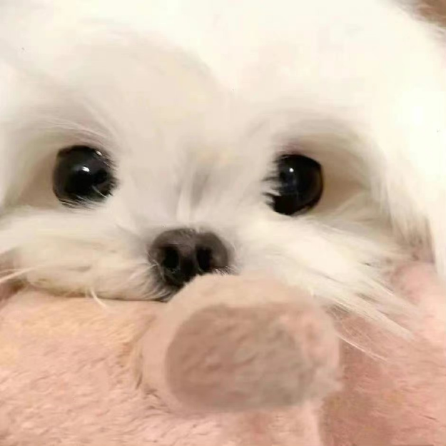 自我认为超级好玩的收纳