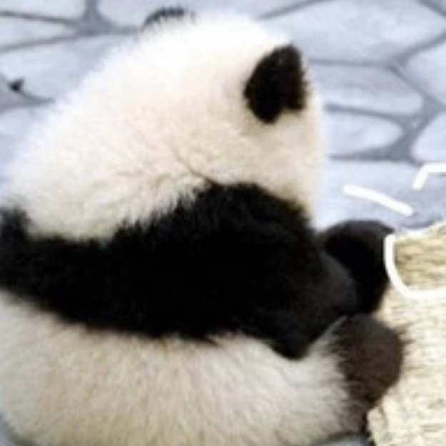 网红视频安利游戏