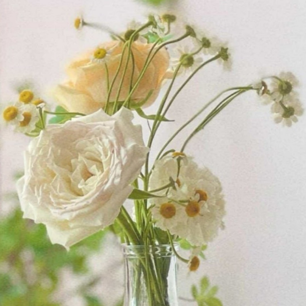 恐怖躲猫猫所有版本