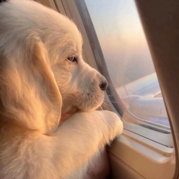 解压小游戏。快来玩。