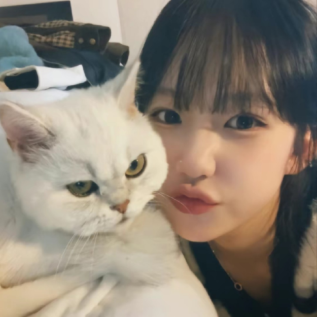 超级好玩治愈小游戏！！《二》