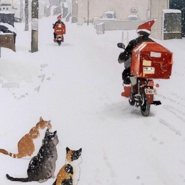 美妆，经营，跑酷类