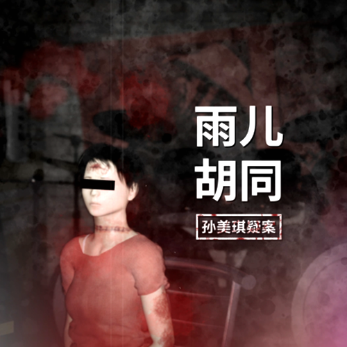 孙美琪疑案合集