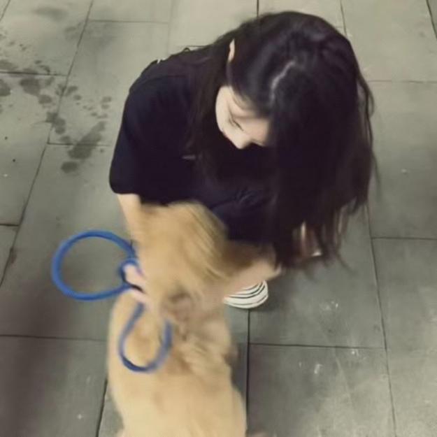 个人认为挺好玩的 含微恐