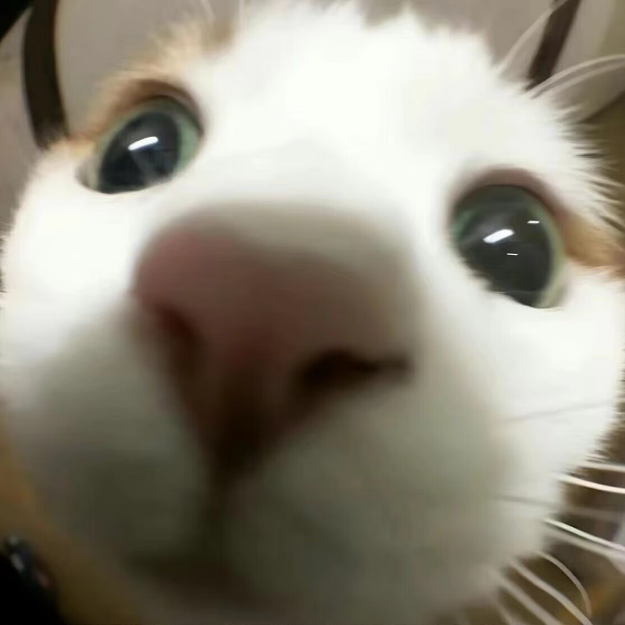 王蓝莓的各种游戏