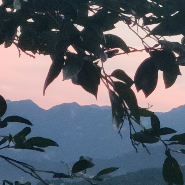 老爹系列的游戏（不需要下载）