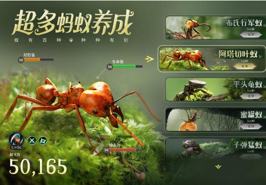 蚂蚁系列游戏