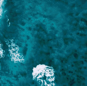 孙美琪疑案（待继续完善）