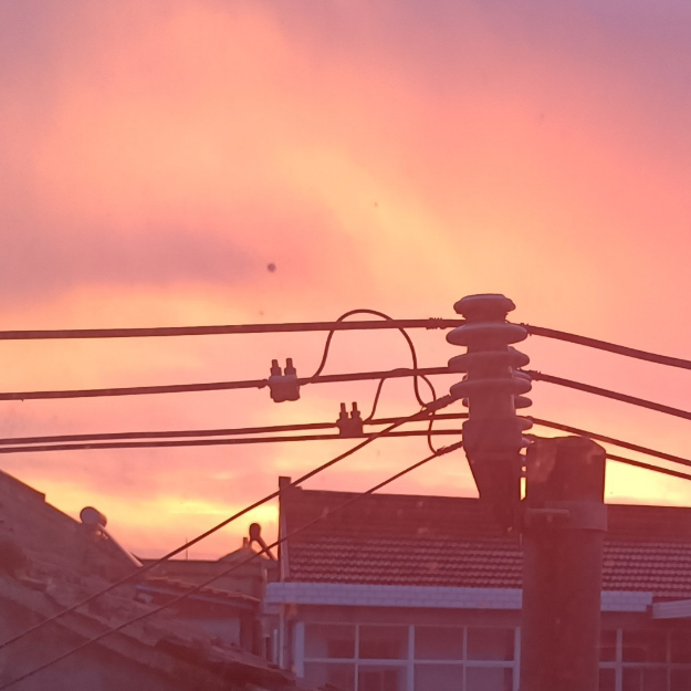 经营类型的小游戏