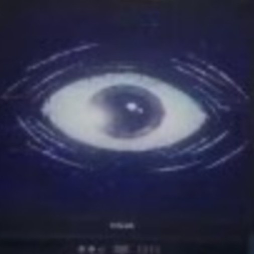 这是我目前为止找到的所有波比游戏时间