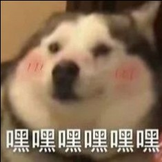 一些休闲治愈的小游戏