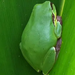 魔术方阵四乘四