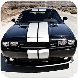 城市汽车驾驶2020：挑战者