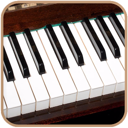 风琴的键盘2019