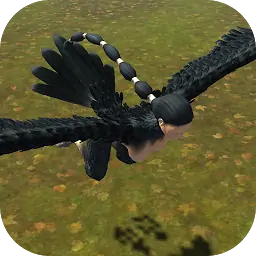 可怕的哈比哈比模拟器3D