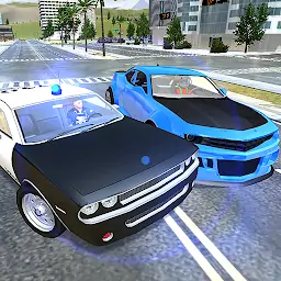 警车巡逻队VS犯罪城市